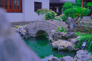 苏州园林-柴园第 10 张图片