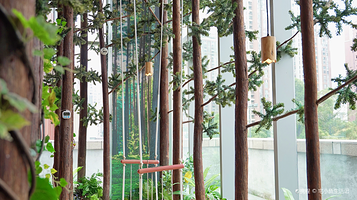 木育森林(成都万象城店)