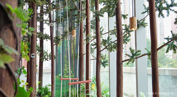 木育森林(成都万象城店)