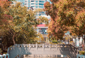 中山公园第 5 张图片