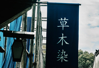 草木本色染坊第 12 张图片