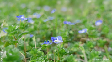 四川绵阳三江湖国家湿地公园
