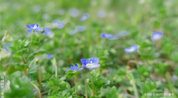 四川绵阳三江湖国家湿地公园