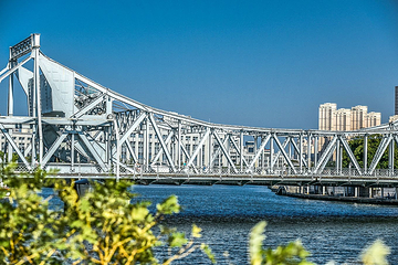 张自忠路海河带状公园第 6 张图片