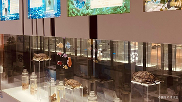 深圳蛇口海洋科普馆