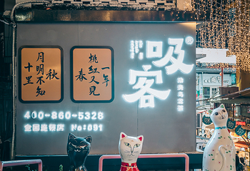 顶澳仔猫街第 33 张图片