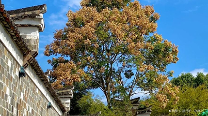 仙霞古道第 1 张图片