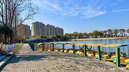 兴化市森林公园第 1 张图片