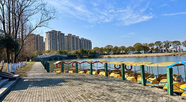 兴化市森林公园