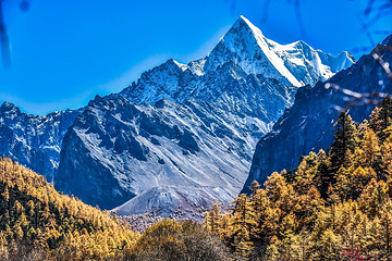 稻城亚丁风景区-冲古寺第 8 张图片