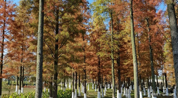 鹰潭西湖湿地公园