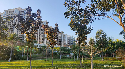 南茶公园第 1 张图片