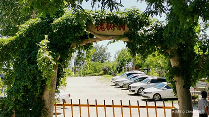 槐树洞第 1 张图片