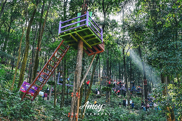 天竺山森林公园第 9 张图片