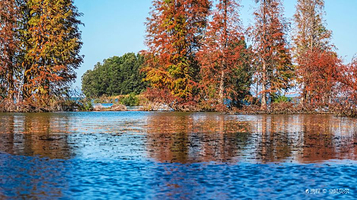 下海埂湿地公园