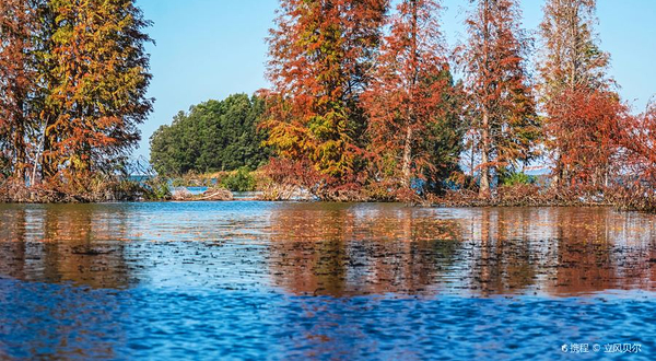 下海埂湿地公园