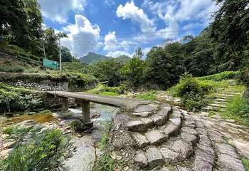大龙湫景区第 29 张图片