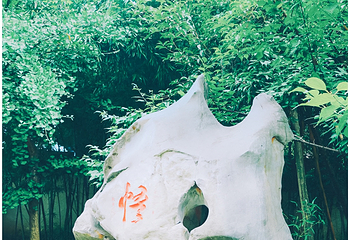 寒山别院第 10 张图片