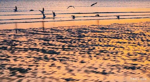 泽库镇潮汐公社赶海园