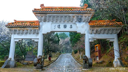 梅岭第 1 张图片