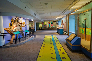 The Academy of Natural Sciences of Drexel University