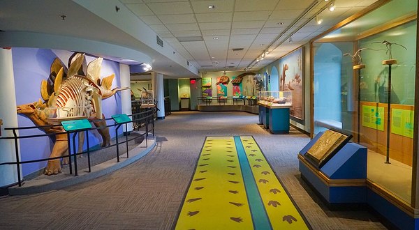 The Academy of Natural Sciences of Drexel University