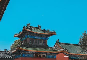 月岛第 13 张图片