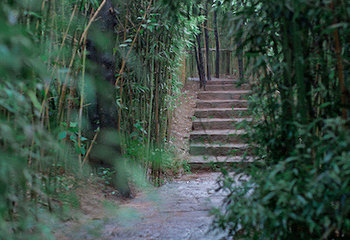 马陵山风景名胜区第 30 张图片