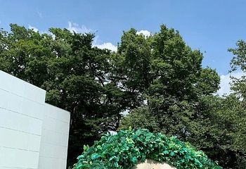 雕刻之森美术馆第 12 张图片