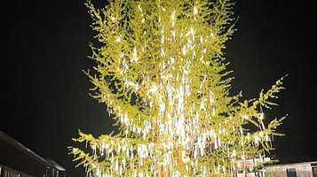 花水湾豪生百乐汤温泉