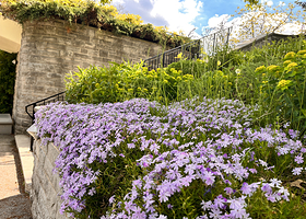 加拿大皇家植物园