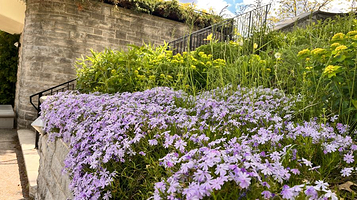 加拿大皇家植物园