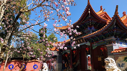 永平宝台山国家森林公园-金光寺第 1 张图片