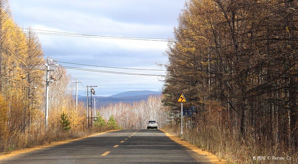 蘑阿公路