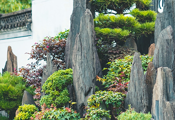 鲍家花园第 9 张图片