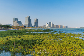 海沧湾公园第 7 张图片