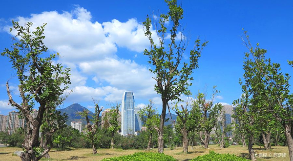 福州三江口生态公园