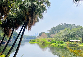 流花湖公园第 20 张图片