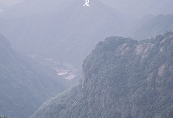 杏梅尖第 10 张图片