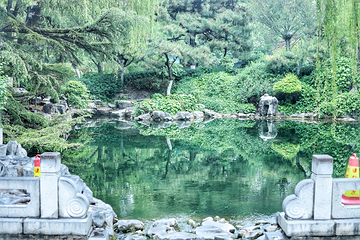 趵突泉景区第 134 张图片