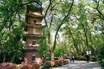阿育王寺第 18 张图片