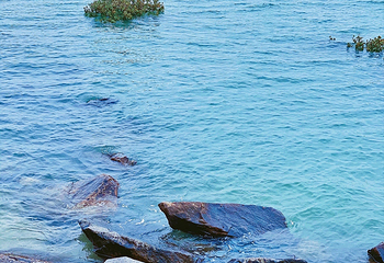 海沧湾公园第 18 张图片