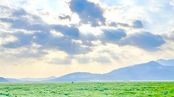鄱阳湖大草原景区-无念岛