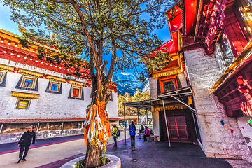 稻城亚丁风景区-冲古寺第 5 张图片