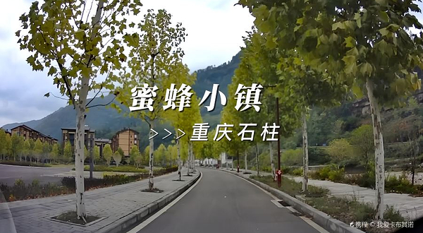 中益中华蜜蜂小镇