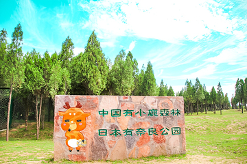 云上牧场第 2 张图片