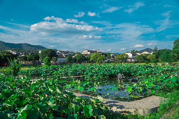 西递古村景区-胡氏宗祠第 7 张图片
