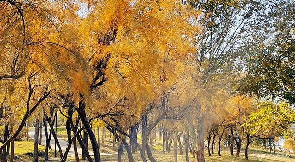 青岛葫芦巷主题公园