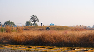 满庭芳郊野花园