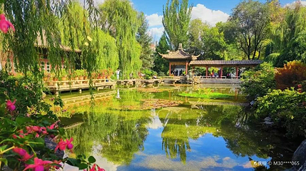 西宁植物园第 1 张图片